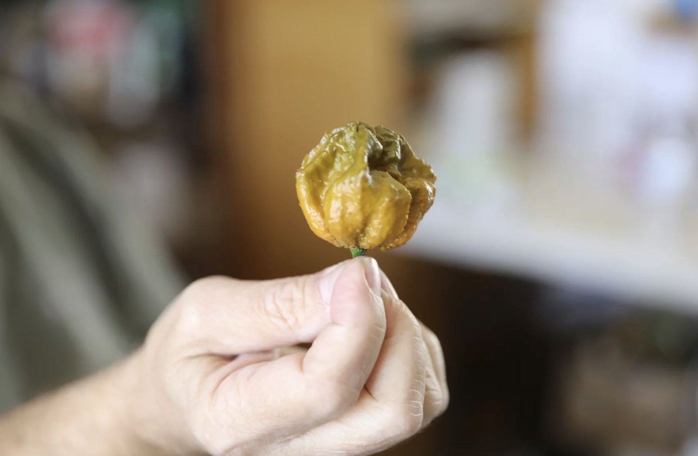 The World's Hottest Pepper Will Never Succeed For This Reason