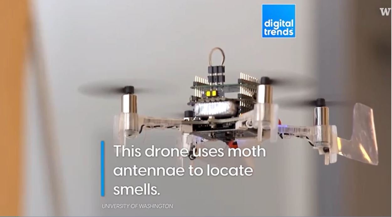 This New "Smellicopter" Drone Uses A Real Live Moth Antenna To Smell.