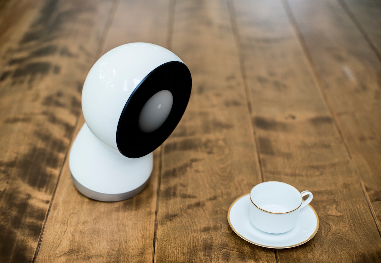 CES Idea #3 - Robot Renaissance