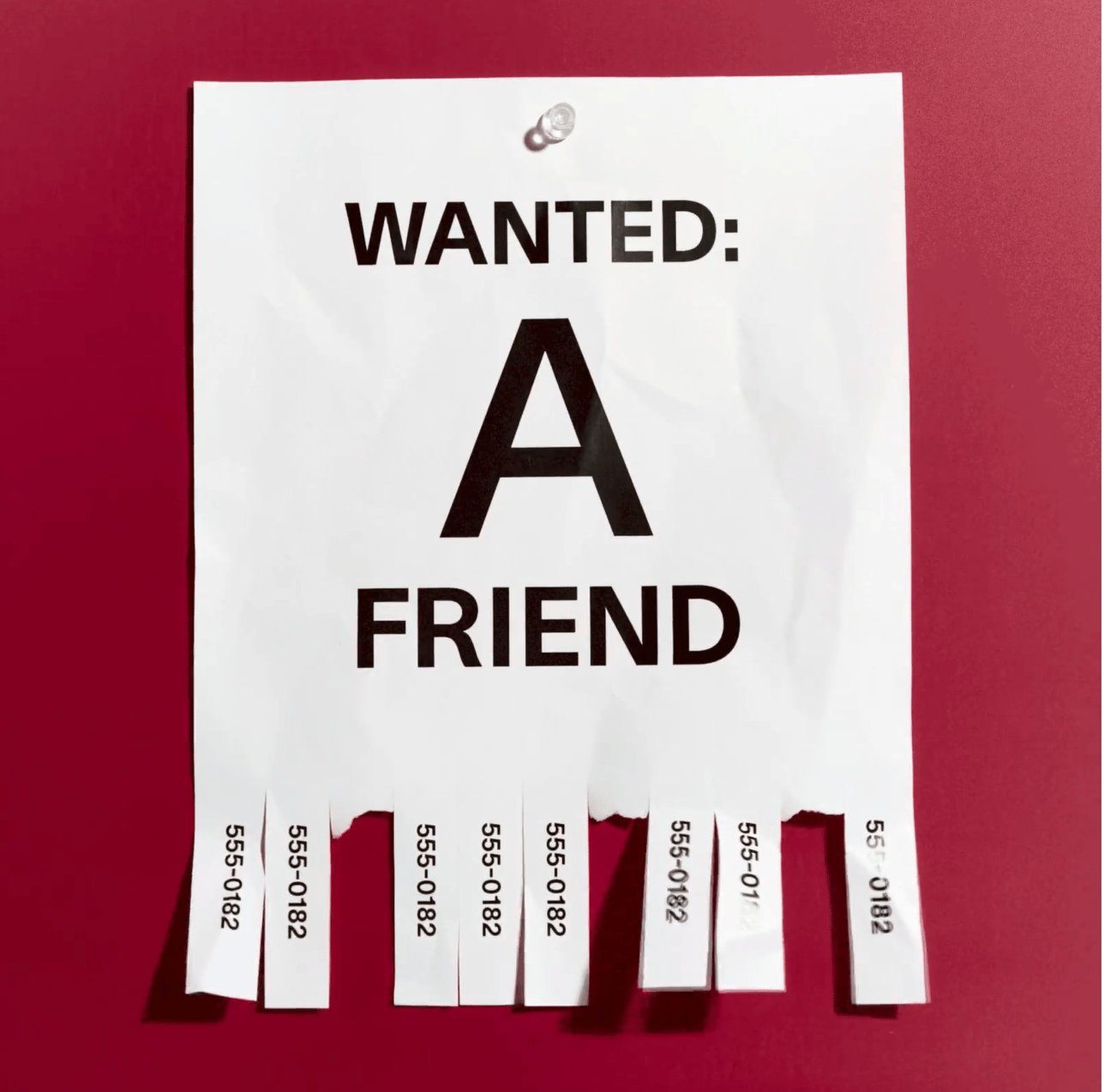 This Journalist Tried To Make A New Friend In 30 Days And It Went … Badly