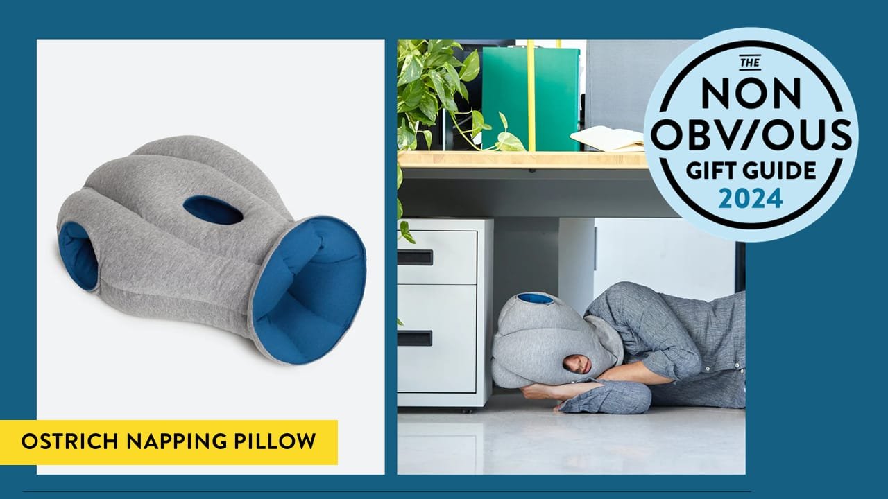 5. Ostrich Napping Pillow