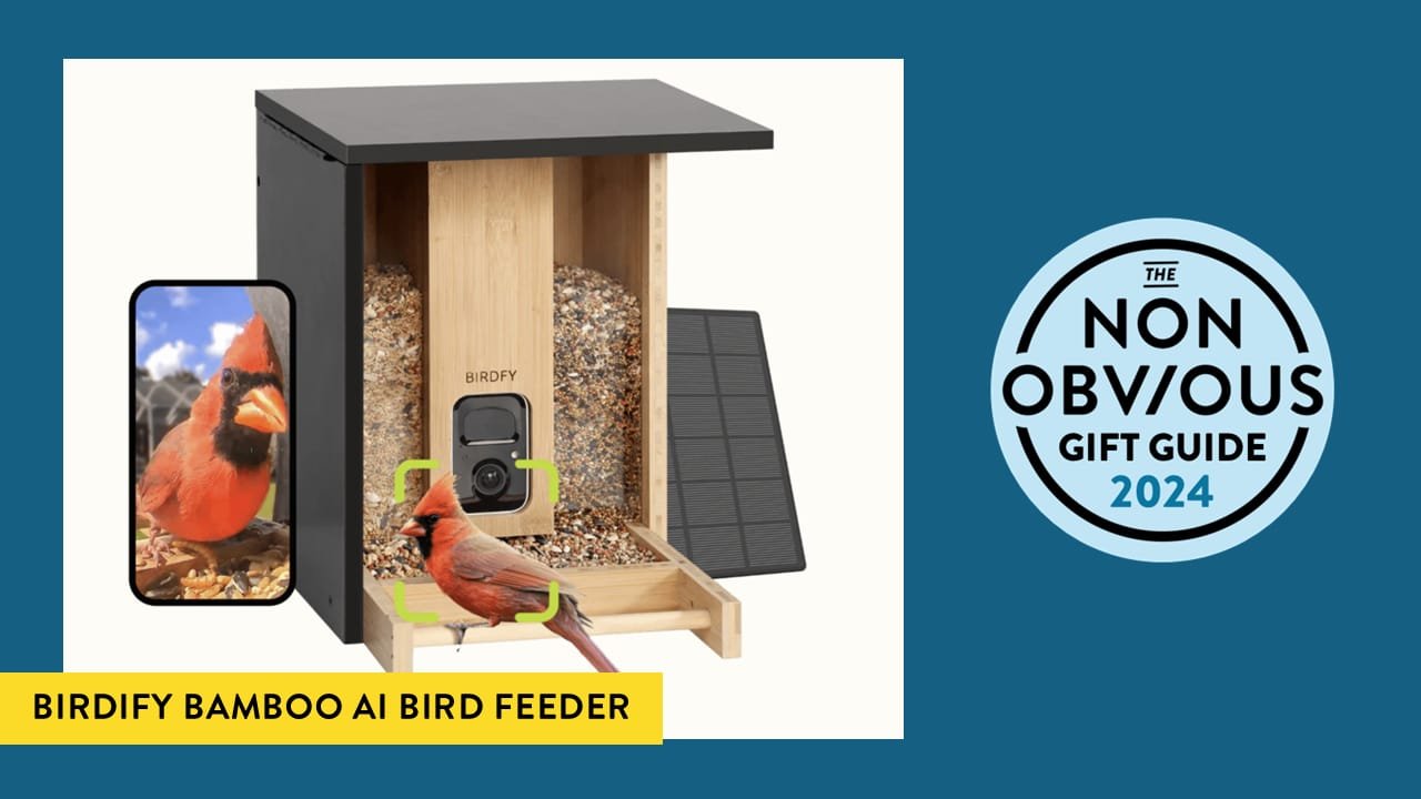 9. Birdify Bamboo Feeder
