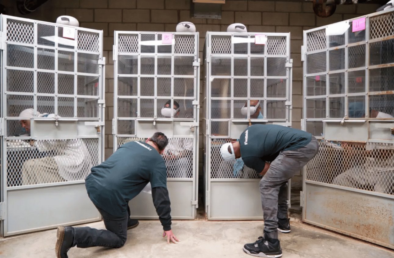 The Beautiful and Destructive Potential of Using VR on Prisoners In Jail