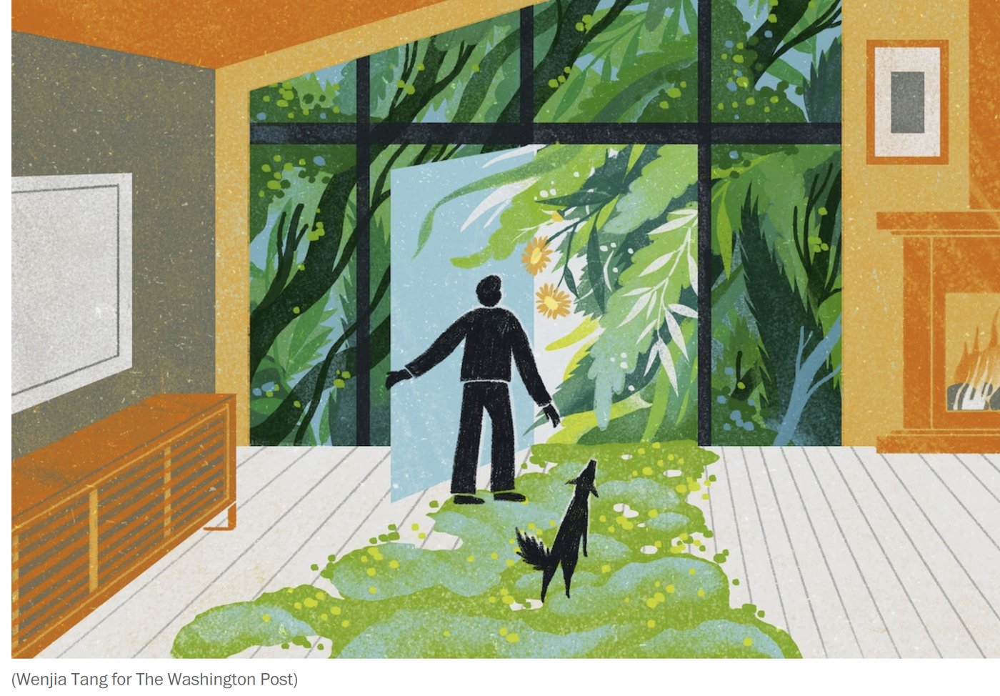 How To Bring Nature Indoors To Improve Your Health