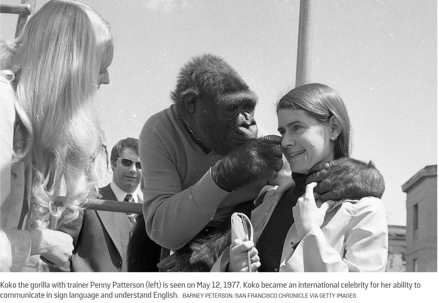 Should Nature and Animals Be Given "Personhood" and Treated Like People?