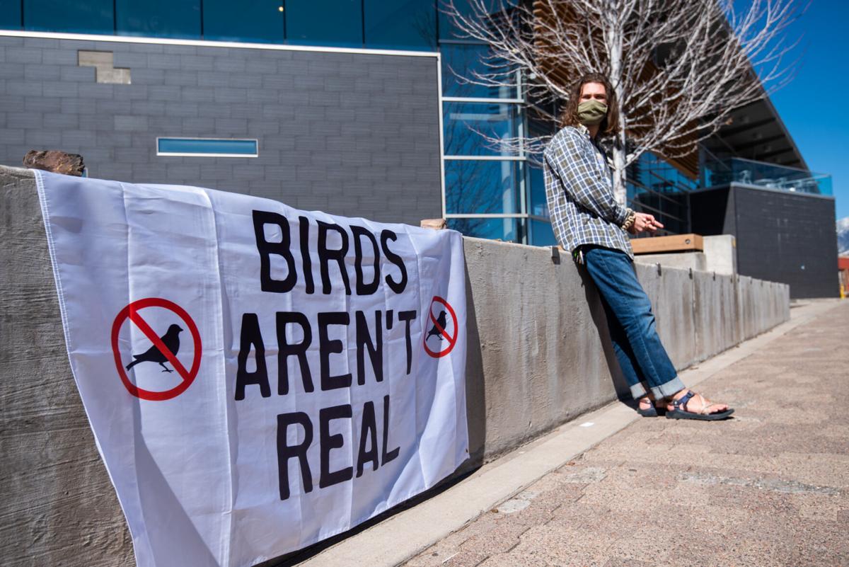 Birds Aren't Real Founder Fights Misinformation With More Misinformation
