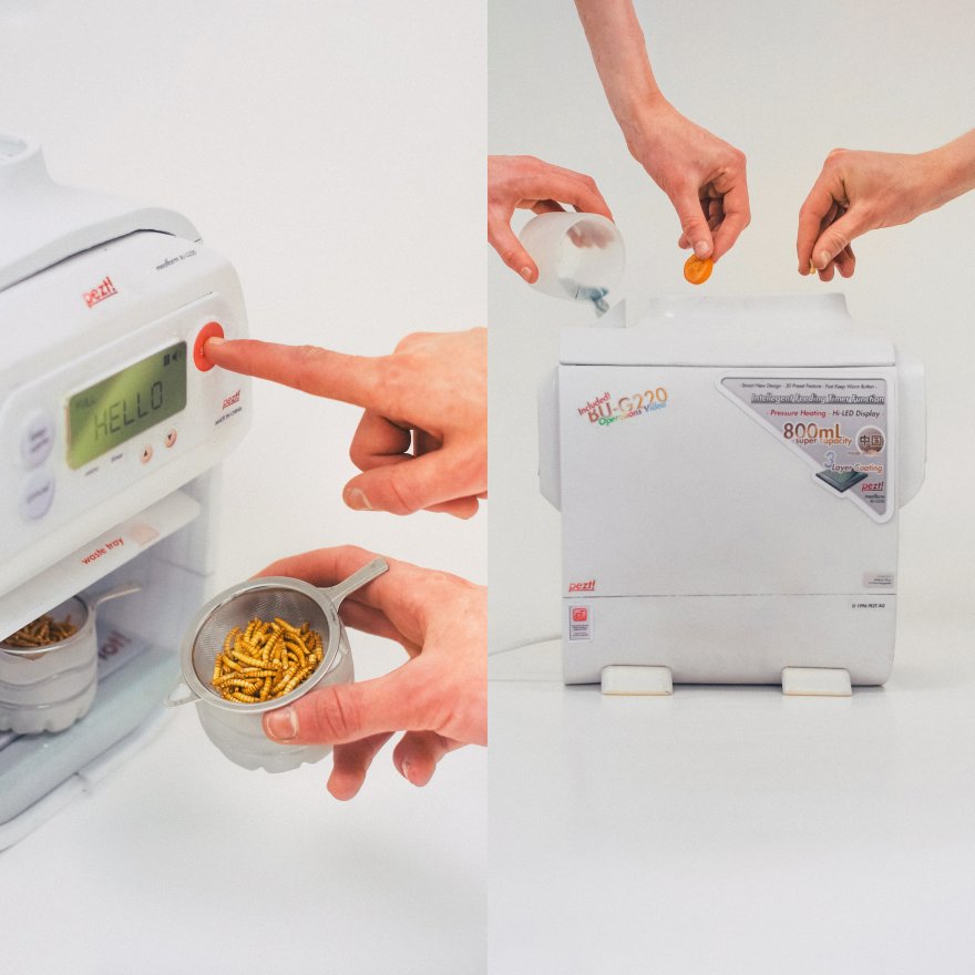 Bringing Bugs Into The Kitchen