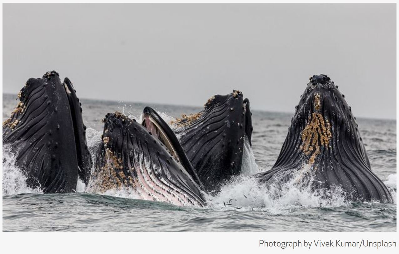 9 Interesting Stories To Read Today For Earth Day 2021