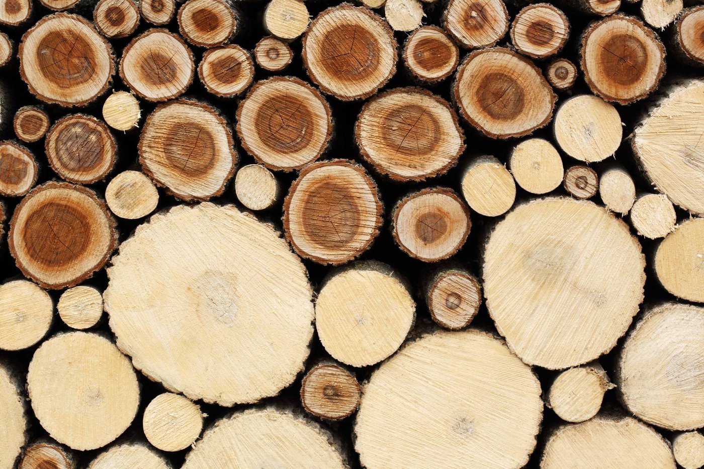 Lab Grown Wood, Plastic Bricks and Construction Materials of the Future