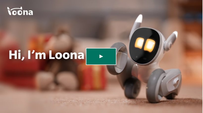 The Cute "Petbot" That Wants To Keep Your Pet (and You) Company