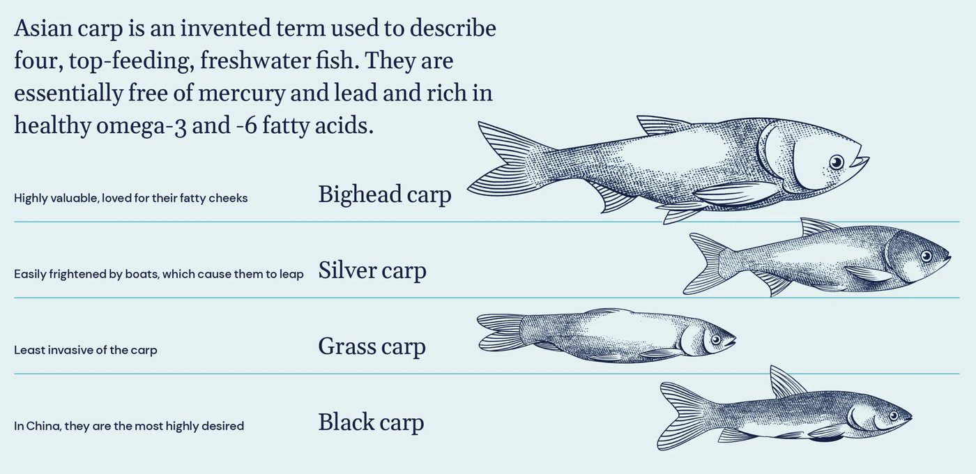 The Curiously Effective History of Rebranding Seafood