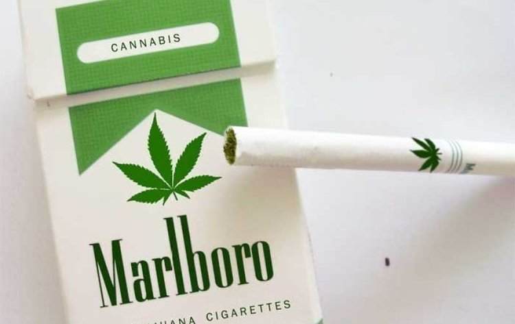 Canadians Legalize Marijuana, Call It "Better Than The Olympics"