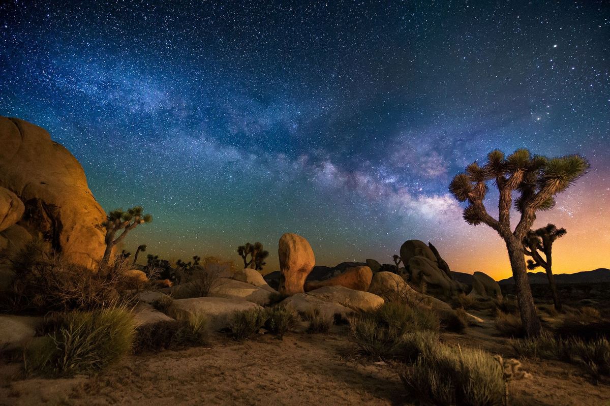 Joshua Tree National Park