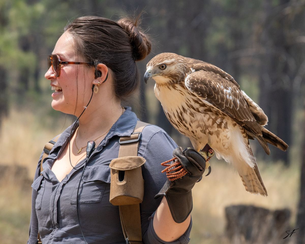 High Desert Museum