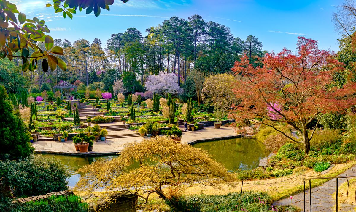 Sarah P. Duke Gardens