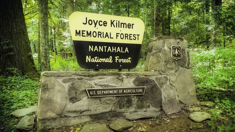 Joyce Kilmer Memorial Forest - Nantahala National Forest