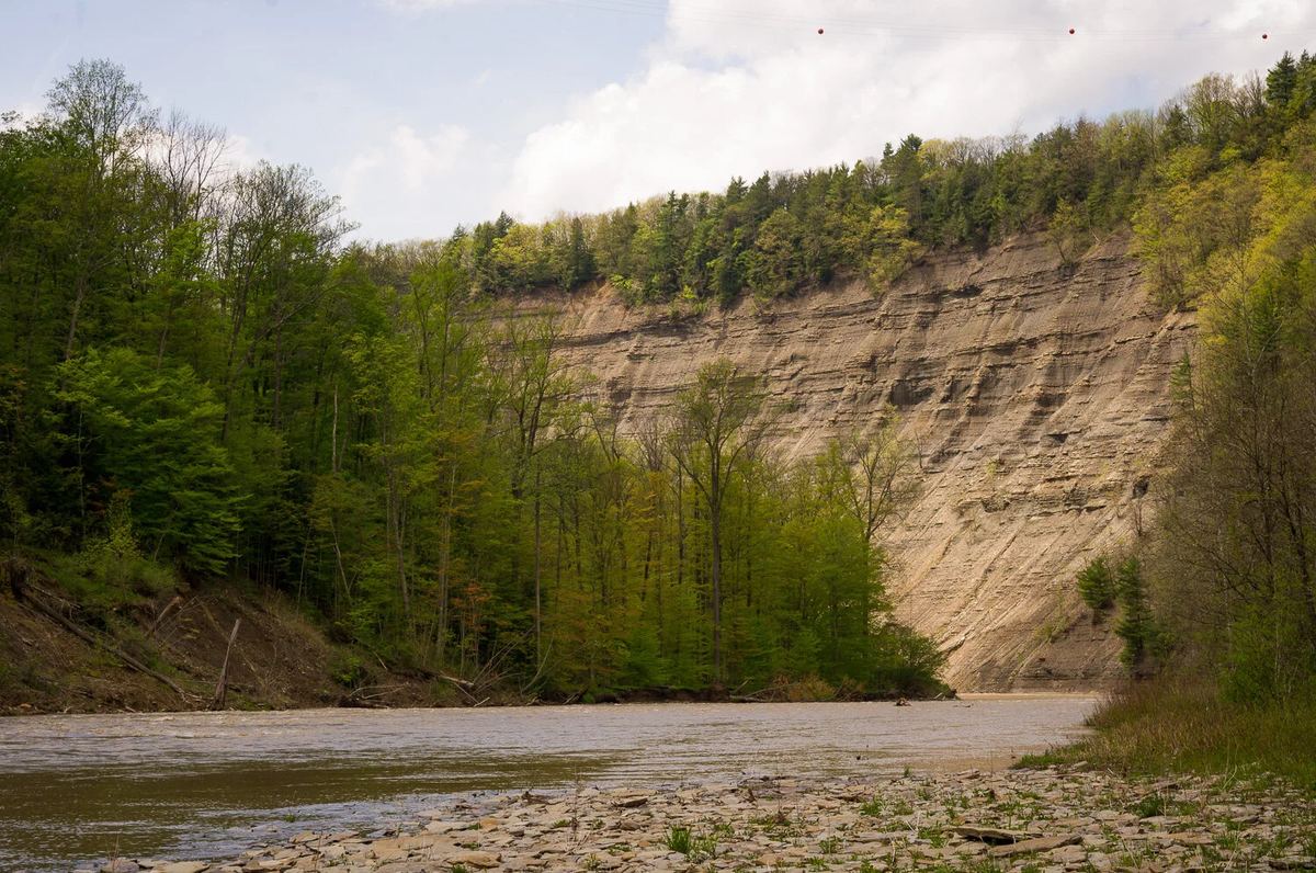 Zoar Valley Unique Area
