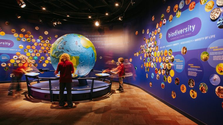 Science & Discovery Museums